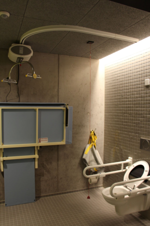 Das Bild zeigt ein barrierefreies Badezimmer mit einem Deckenliftsystem, einer höhenverstellbaren Wickelauflage und einer Toilette mit Haltegriffen.